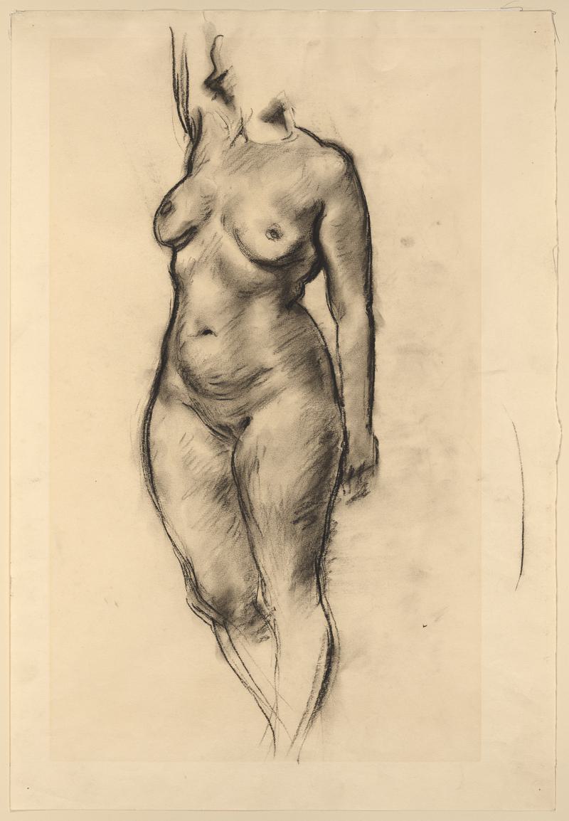 Woman's Torso