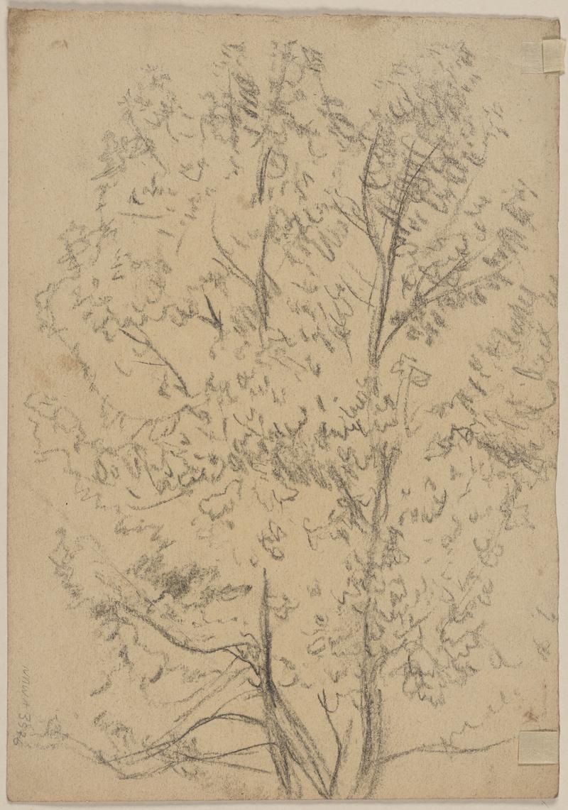 Man and woman seated on the ground