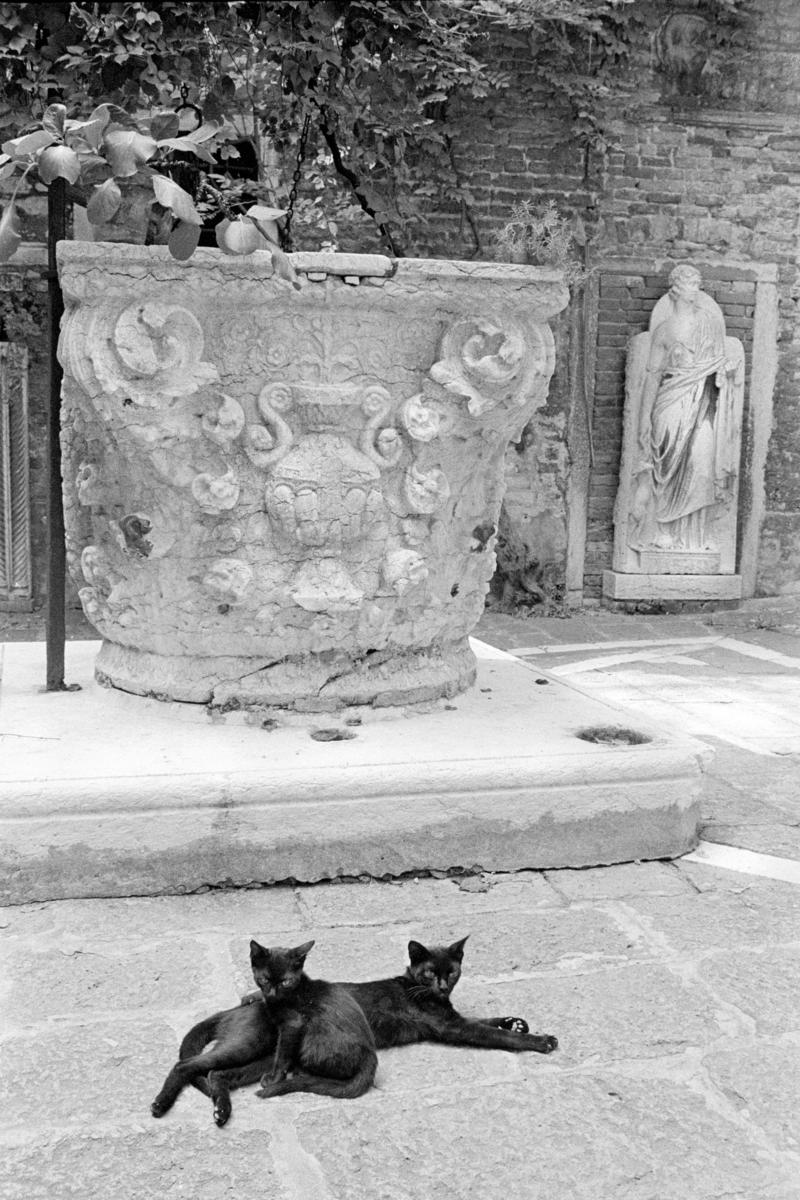 ITALY. Venice. Courtyard of Romeo Mantineze apartment. August. 1999.