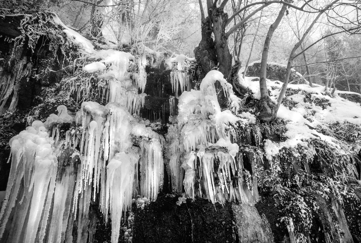 GB. WALES. Tintern. David Hurn's garden, Prospect Cottage in a very cold winter. 1979.