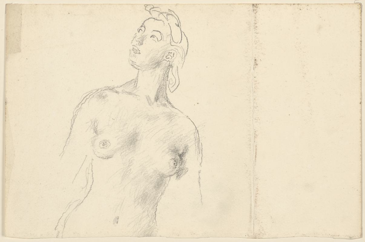 Head and Torso of a Woman