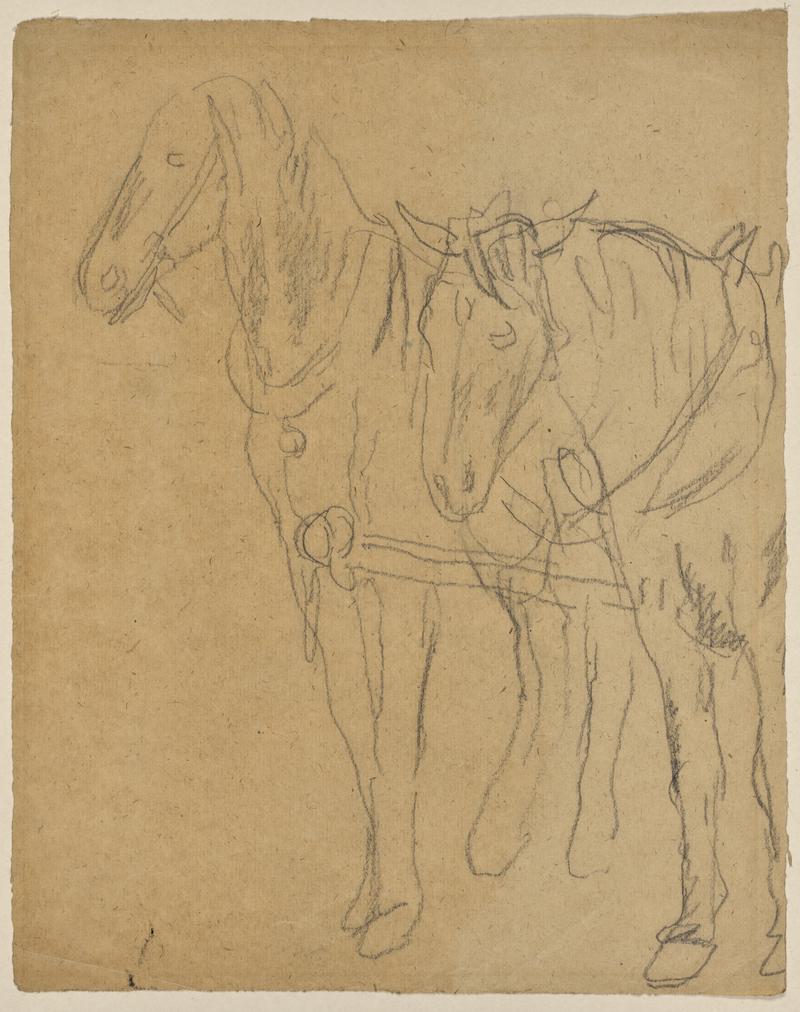 Horses in Harness