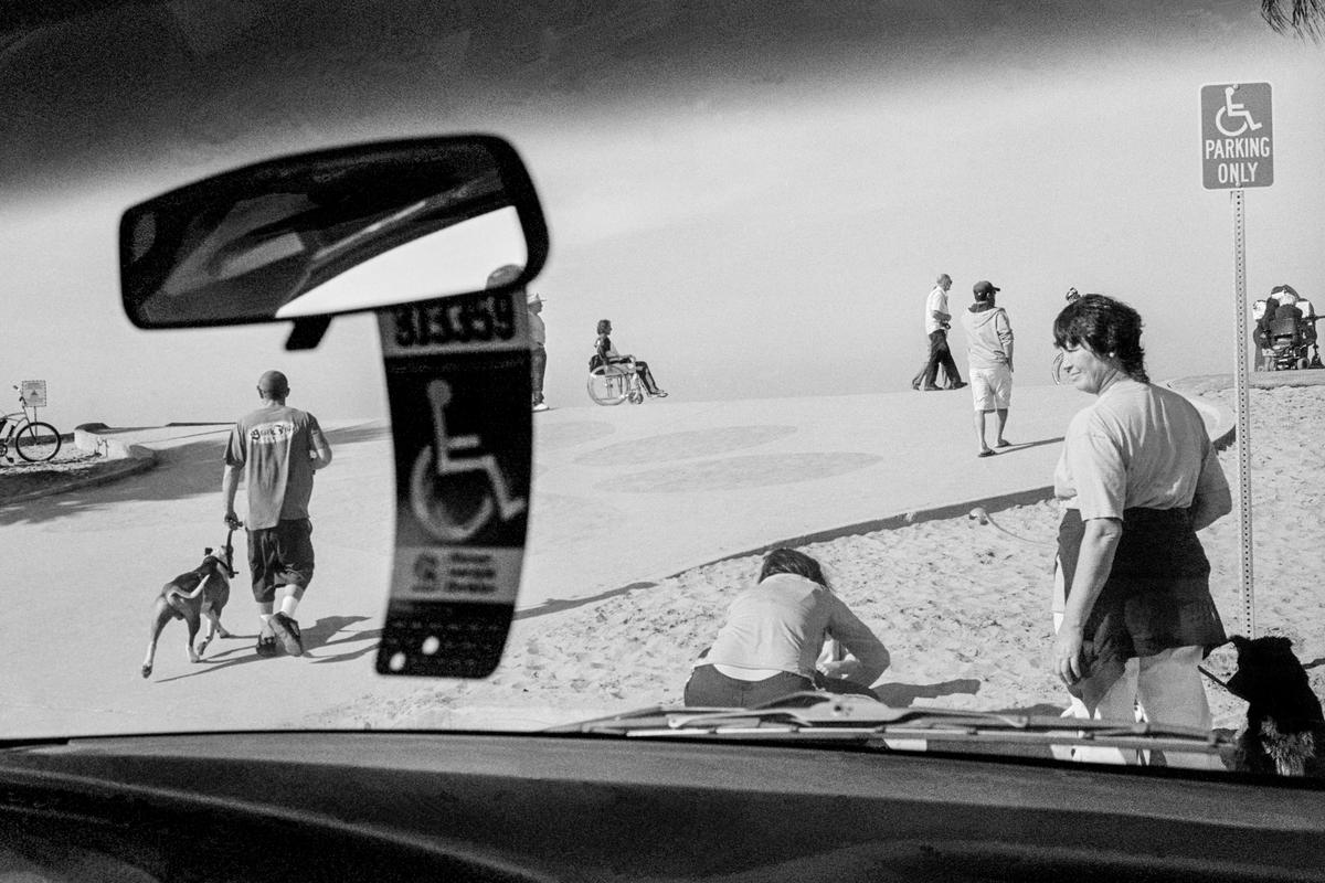 USA. CALIFORNIA. The Original Dog Beach in San Diego, CA is nationally famous and one of the first official leash-free beaches in the United States. It is a landmark in the community of Ocean Beach. 2006.