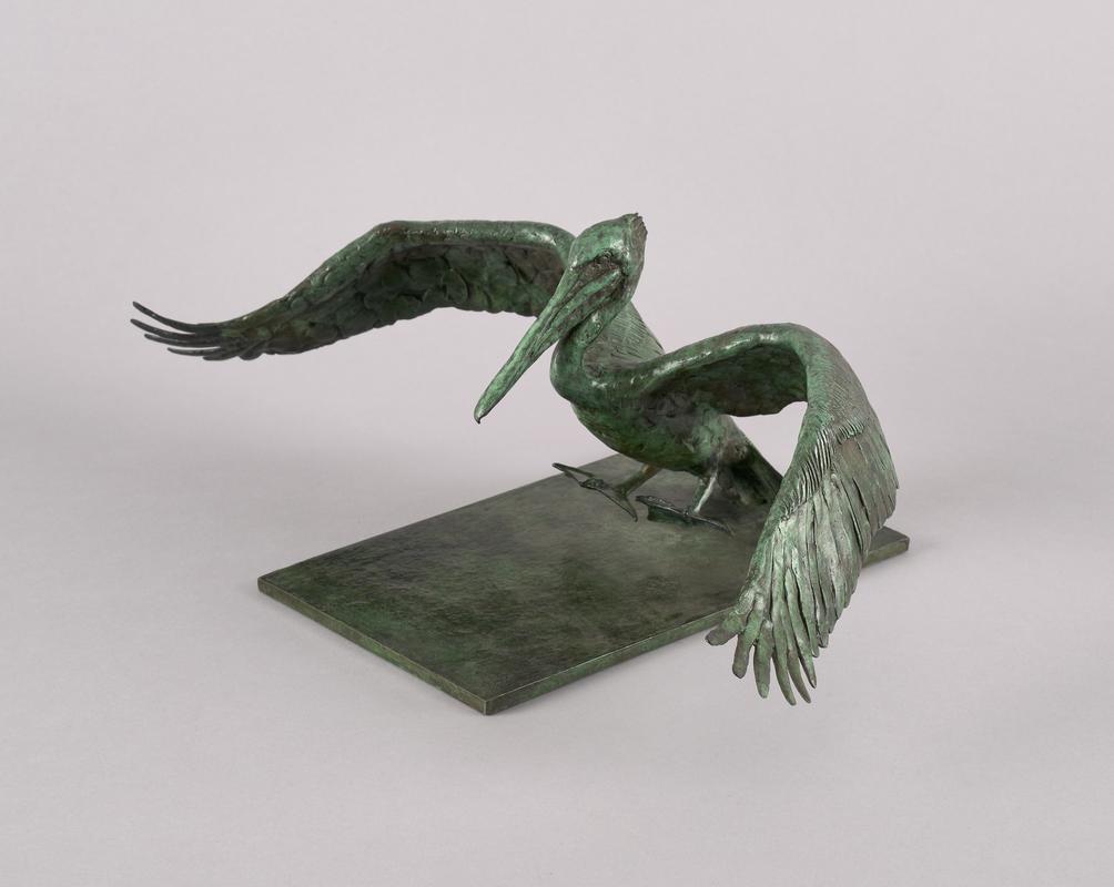 Pelican landing