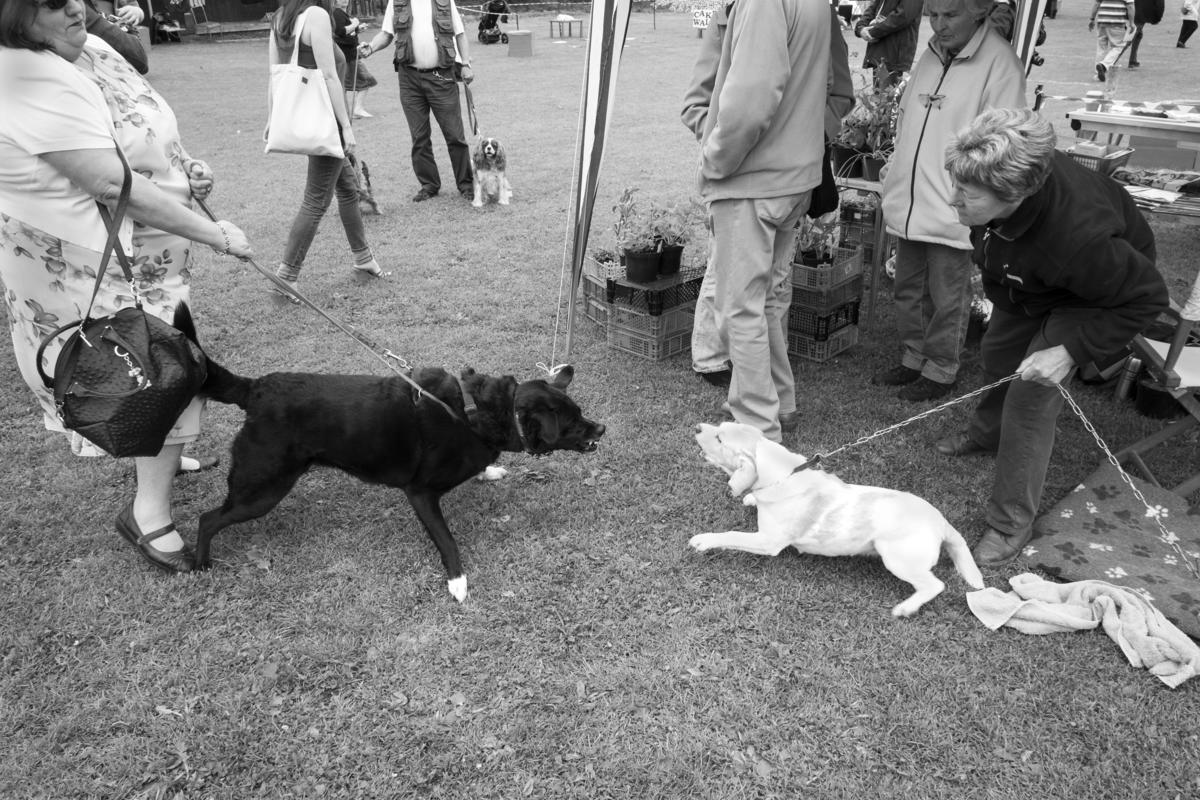 GB. WALES. Tintern. Jubilee celebrations. 2012.