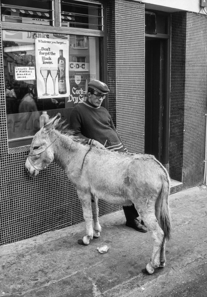 IRELAND. Killarney. Visually the most Irish part of Ireland - Puck Fair held in Killorglin. The cattle and horse sale is usually in the streets on a Saturday. 1984.