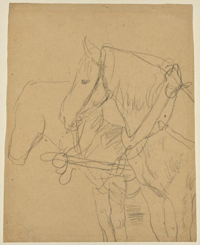 Horses in Harness