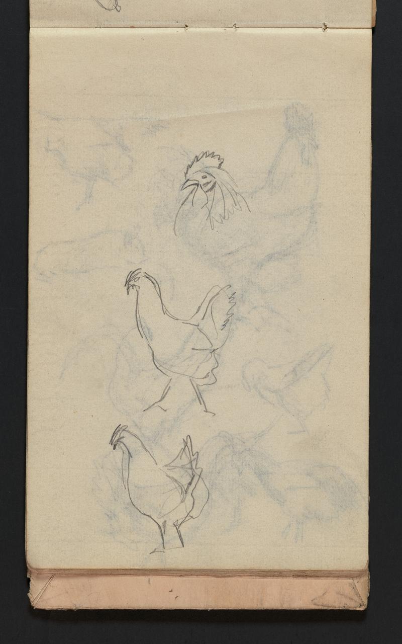 Sketchbook