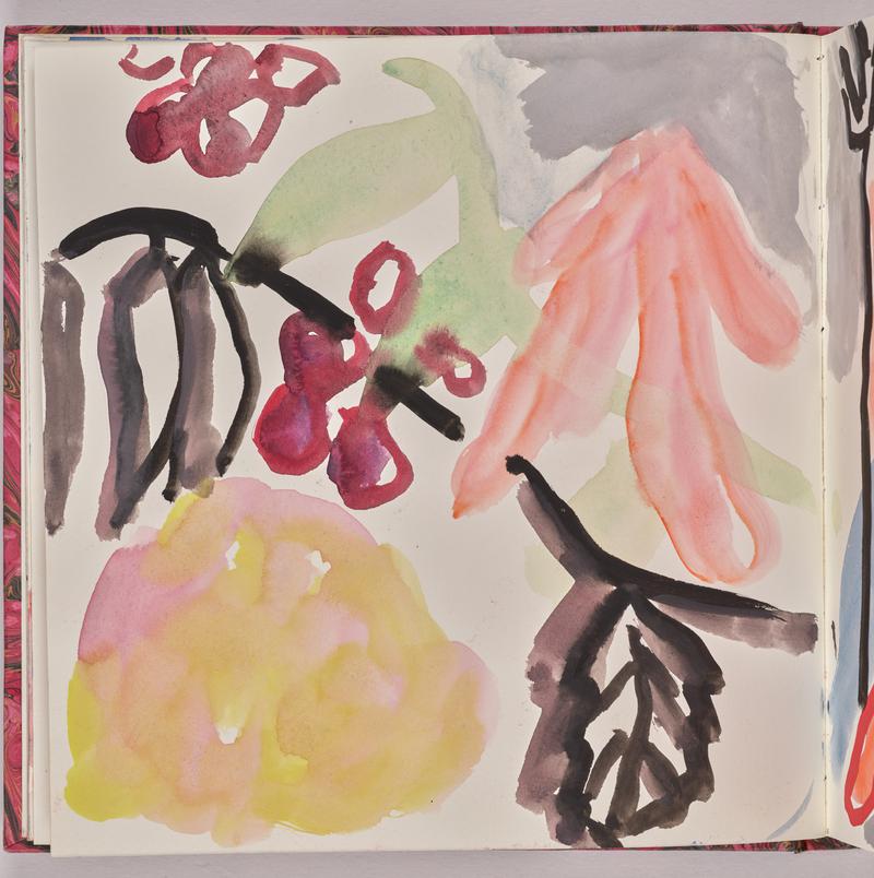 Sketchbook