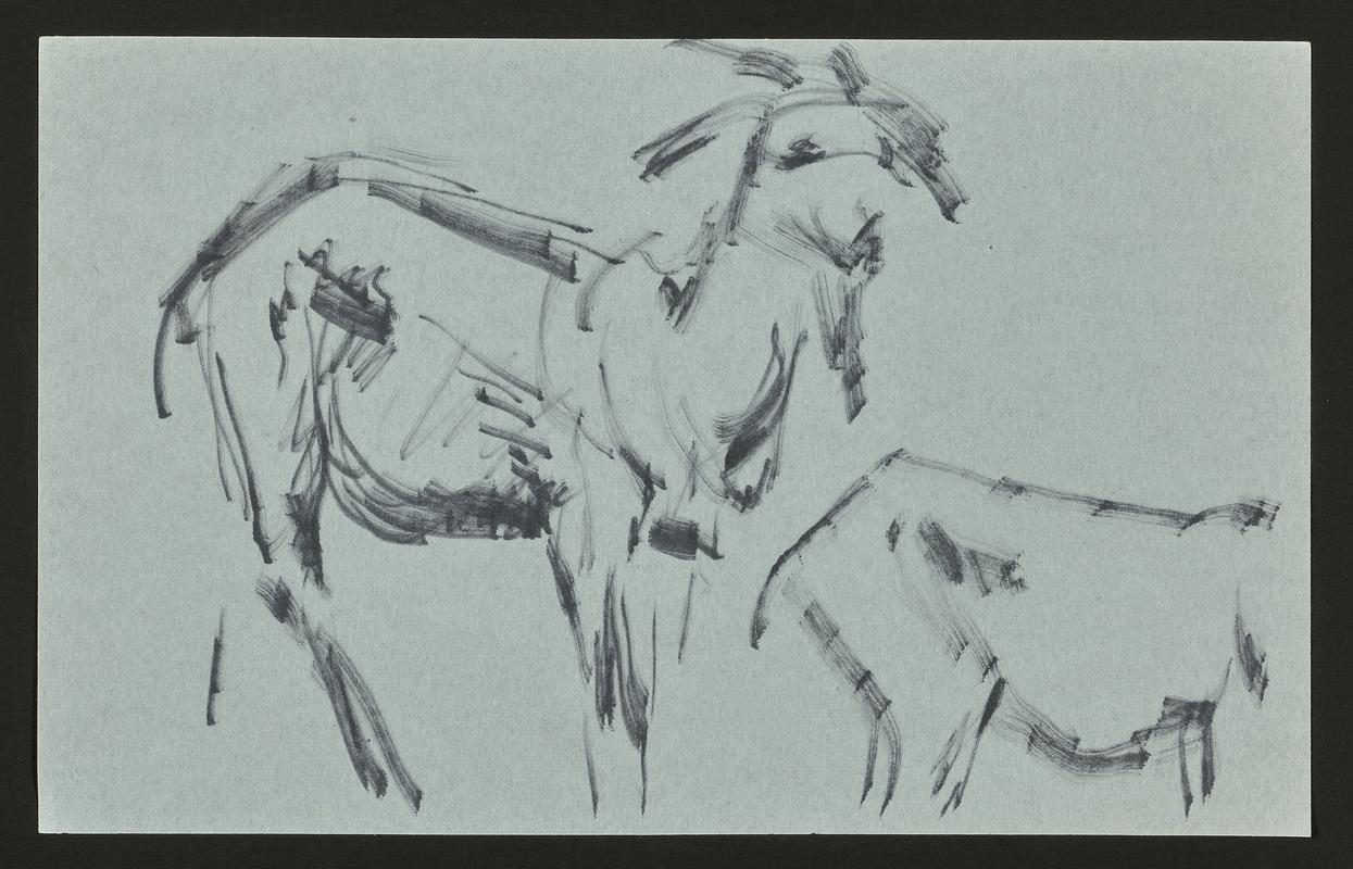 Sketchbook (with loose inserts)