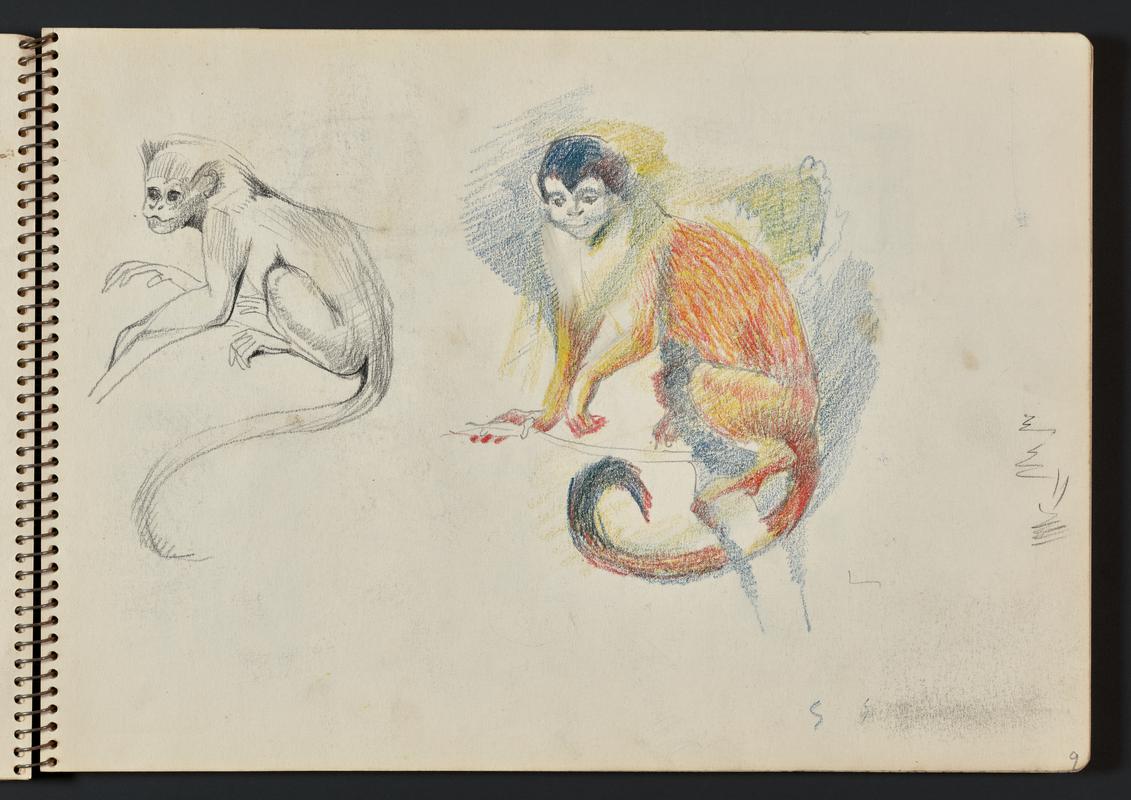 Sketchbook: flower; picnic by a lake; Paris; monkeys & lizard; seated man with cat; woodland