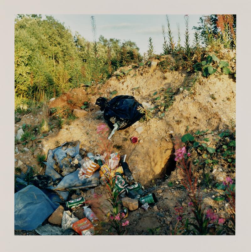 Photographic print - From Miss Grace's Lane - 13