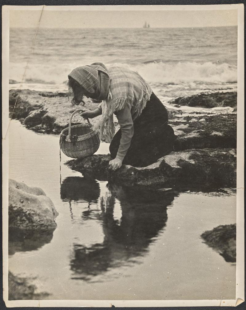 Cocklewoman, Penclawdd