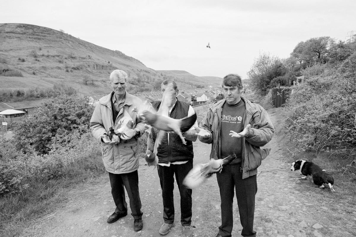 GB. WALES. Cwm. Pigeon racers. 1998