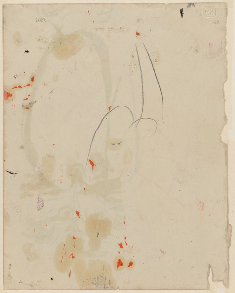 Study of eagle, St.John