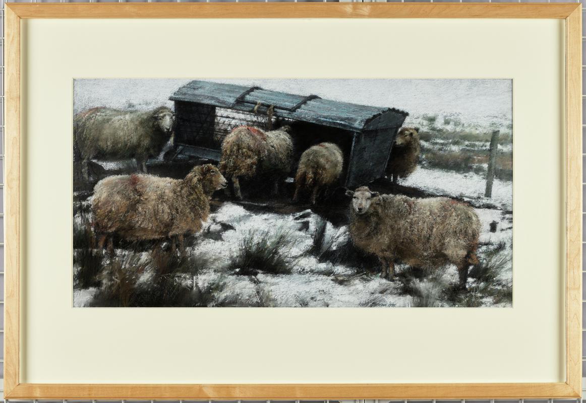 Winter Feeding