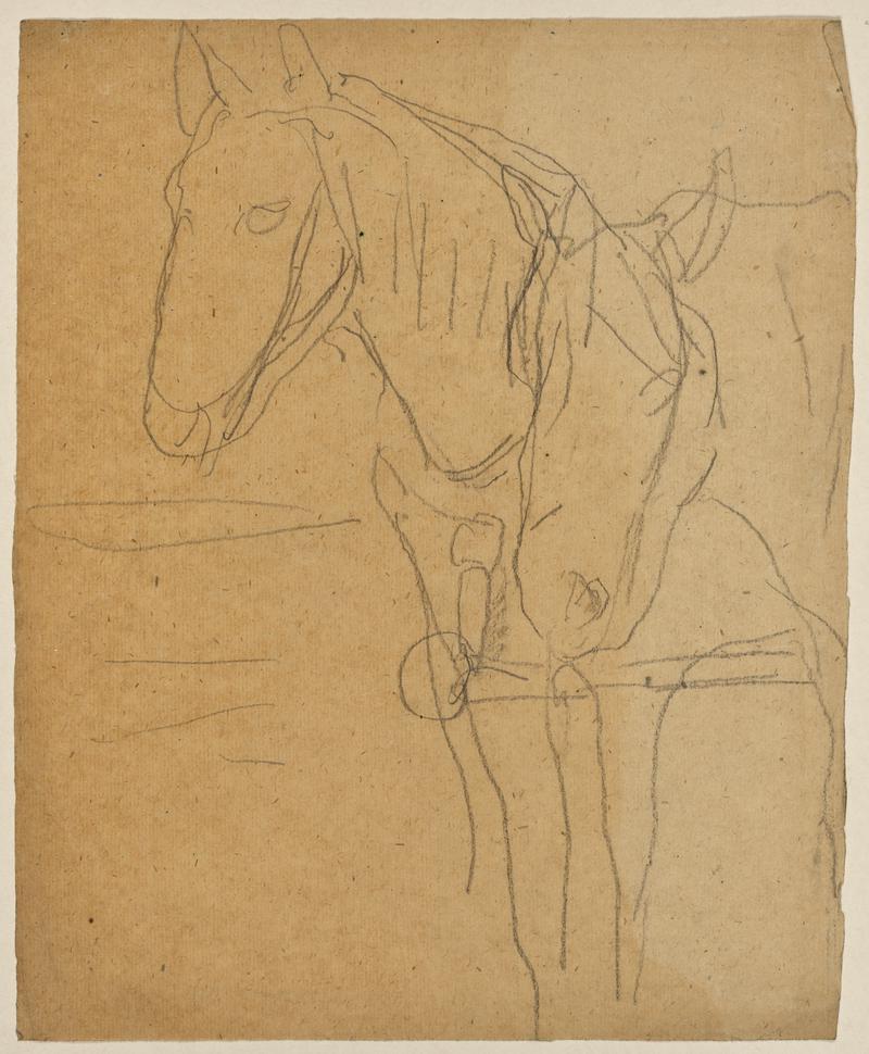 Horses in Harness