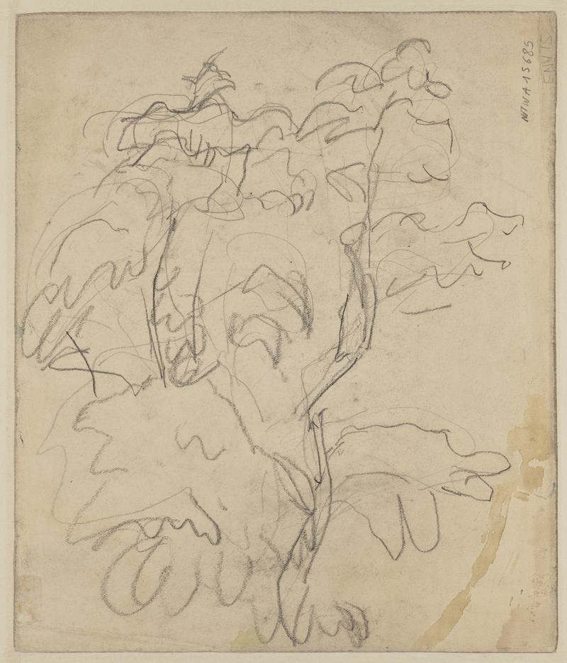 A road with trees