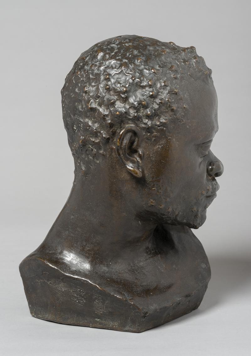 Bokani, a Pigmy chief
