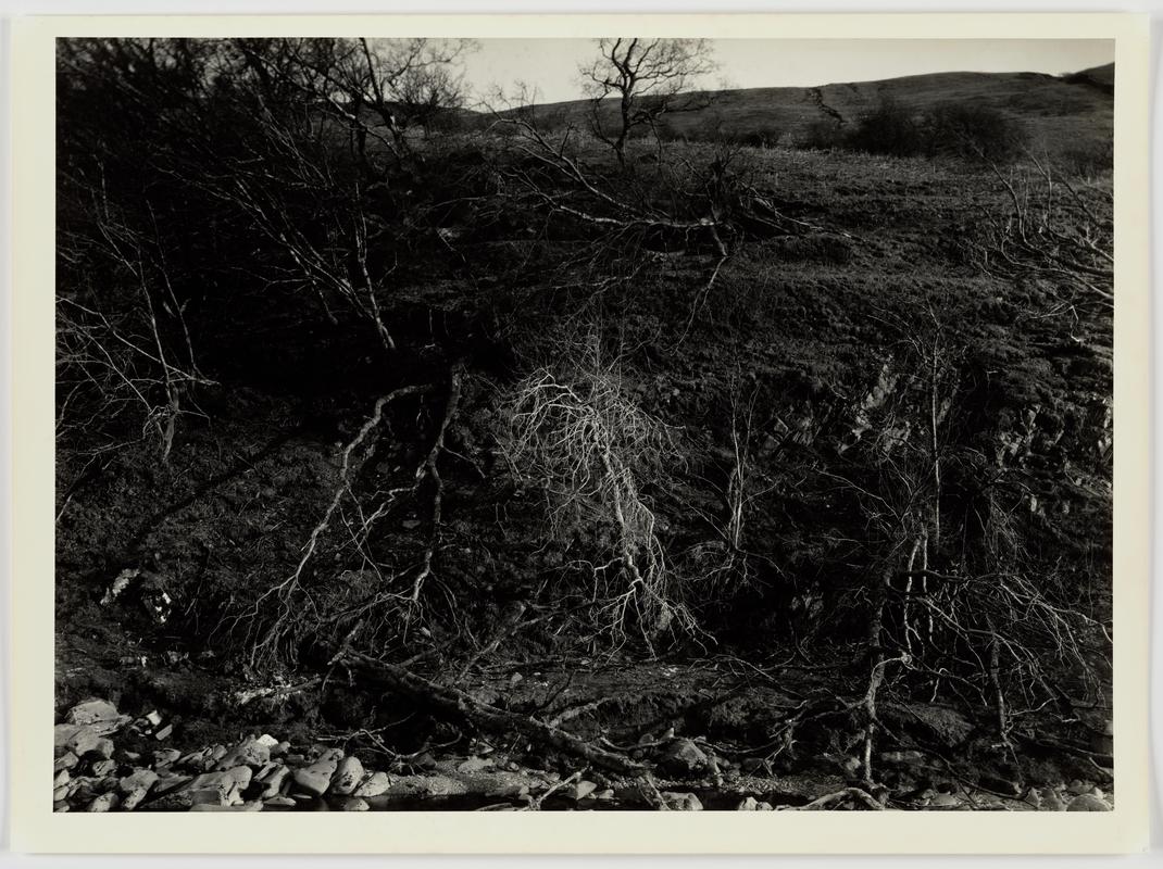 "Natural Forces" - on the Rhayader High Road April 1979