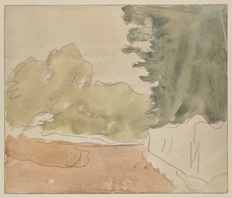 A Road with Trees