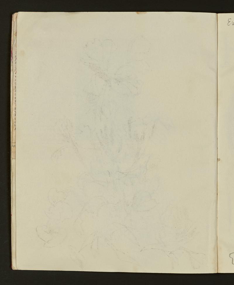 Sketch book