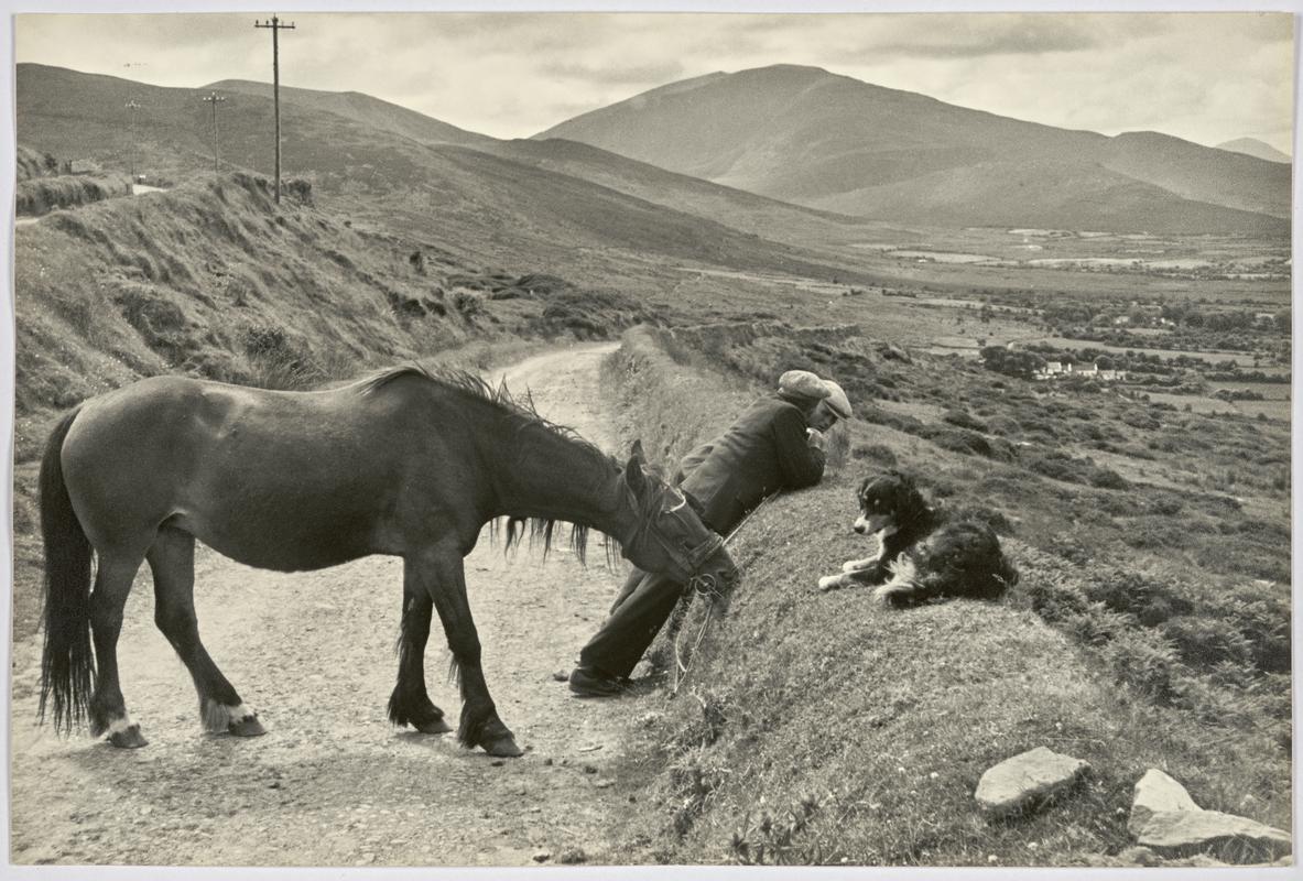 Ireland. Munster. County Kerry. Dingle Peninsula