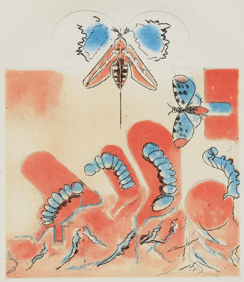 The Caterpillar