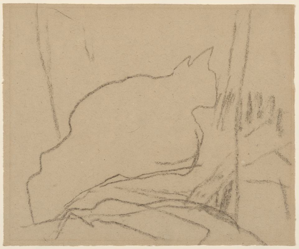 Cat studies