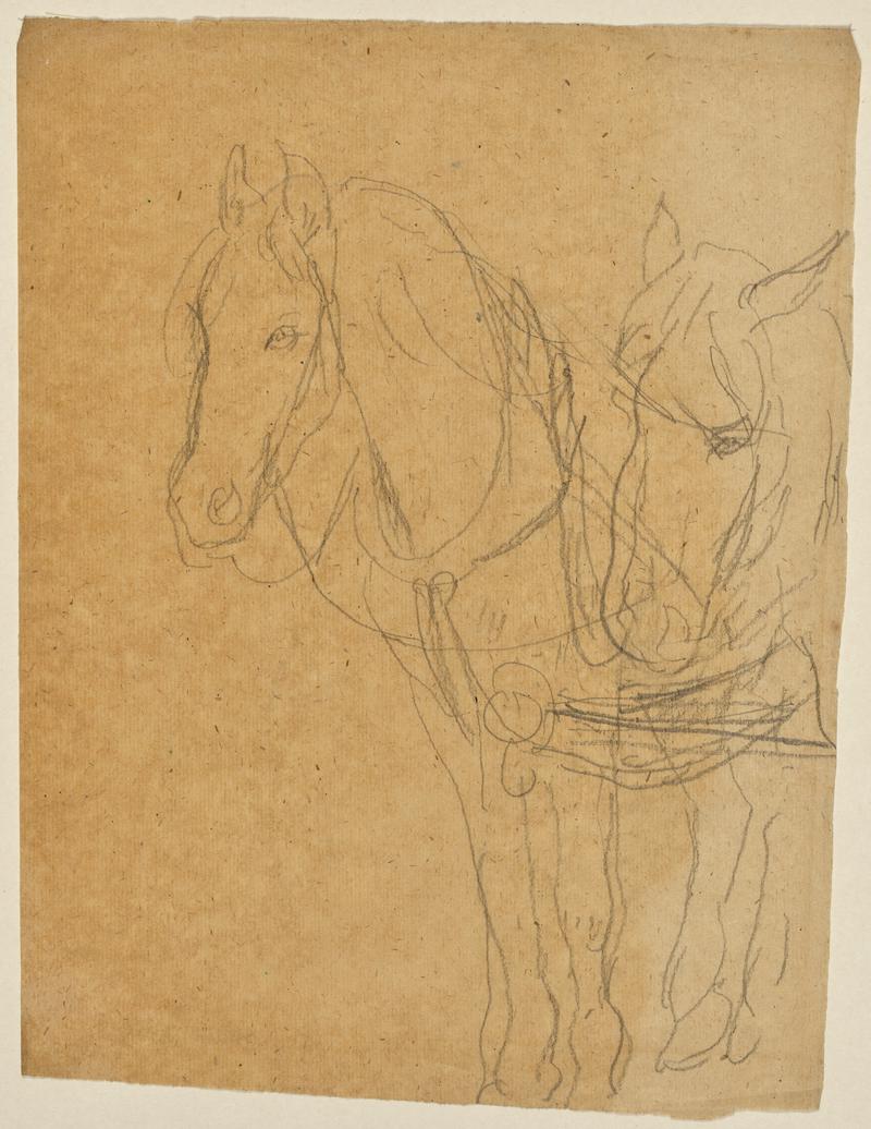 Horses in Harness