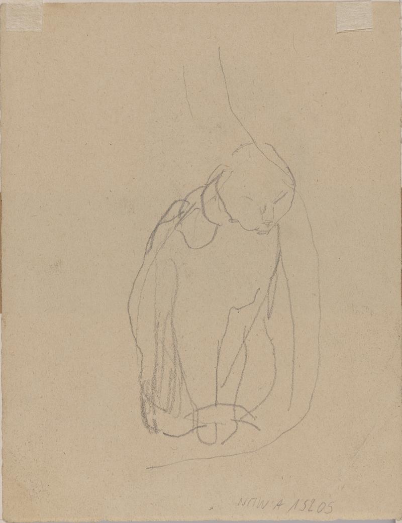 Girl's head and shoulders