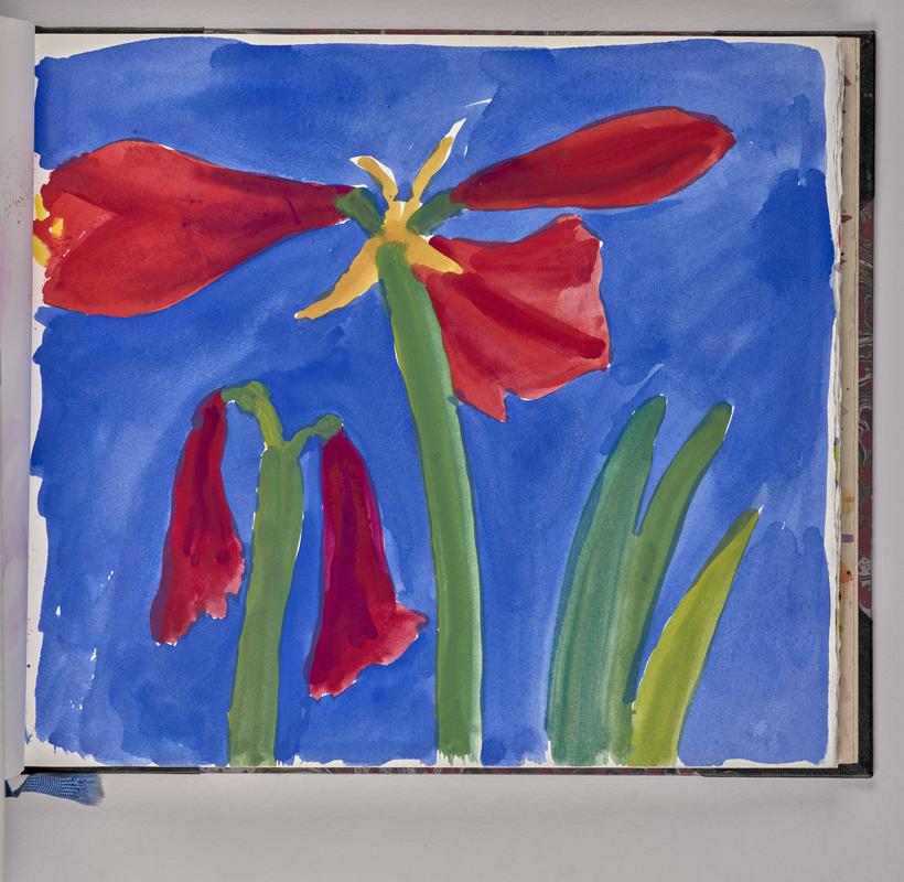 Sketchbook