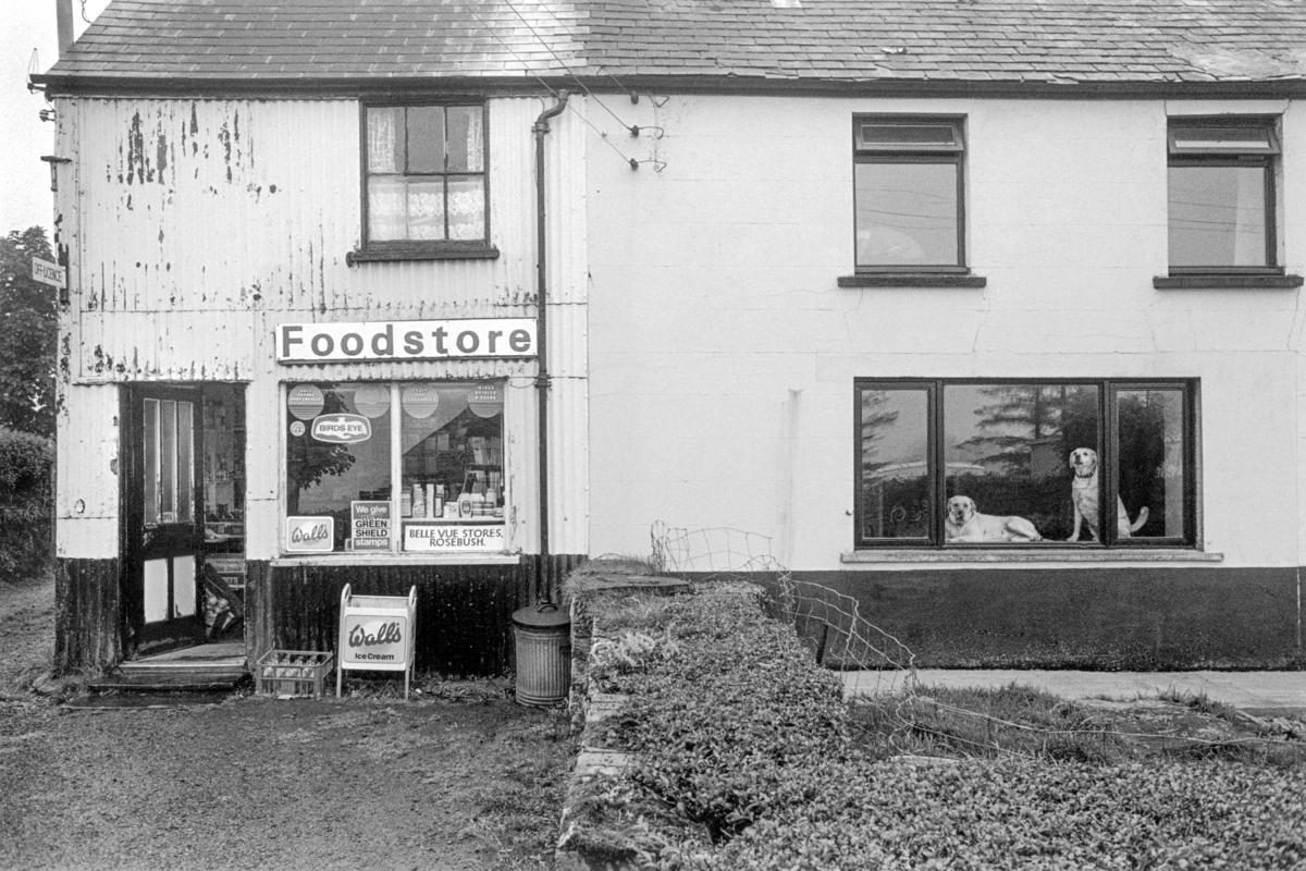 GB. WALES. Rosebush. 'BellVue' store. (see3714-05, five years later, the dogs are the puppies of the previous dogs) 1989.