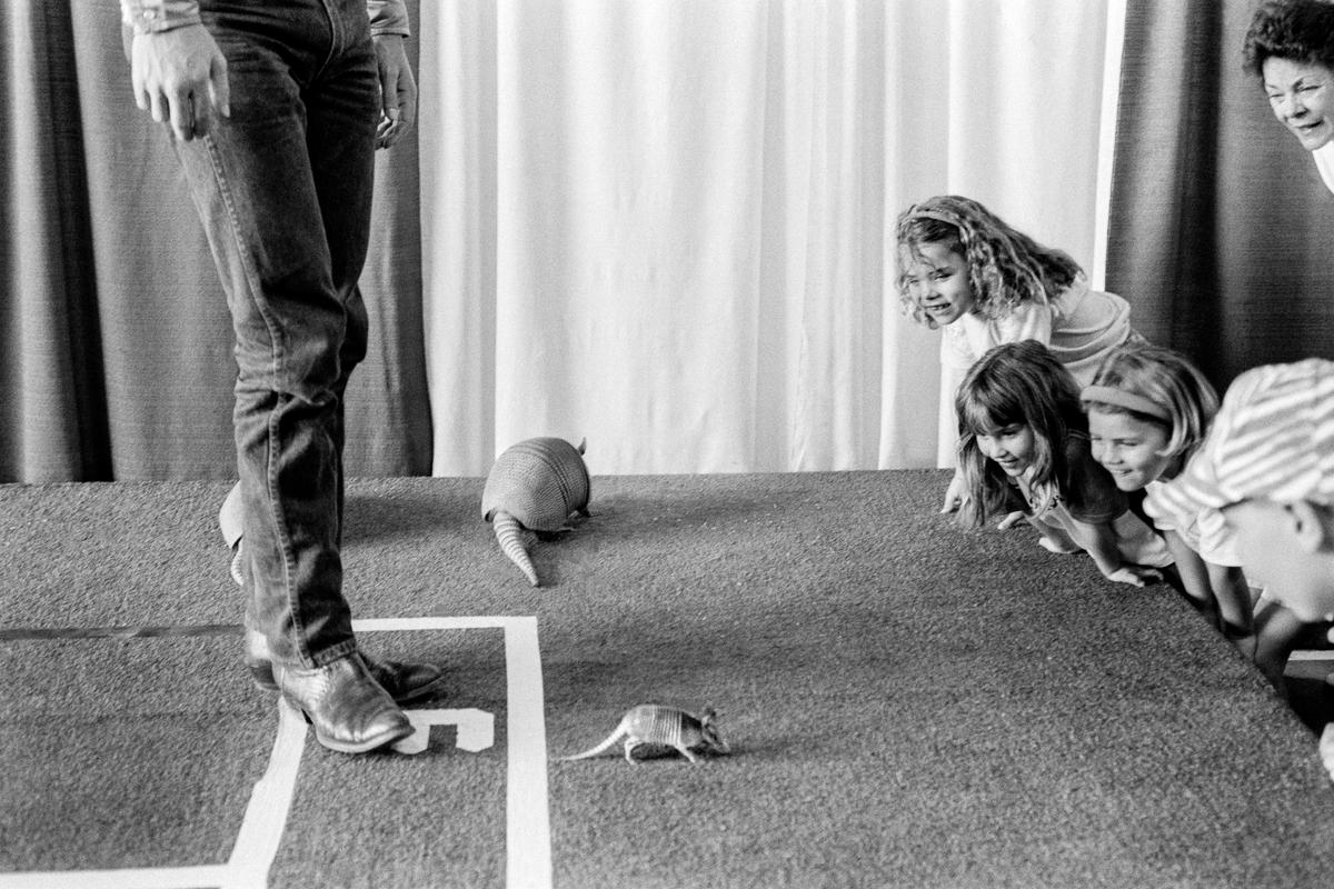 USA. ARIZONA. Phoenix state fair. Armadillos on show. 1992.