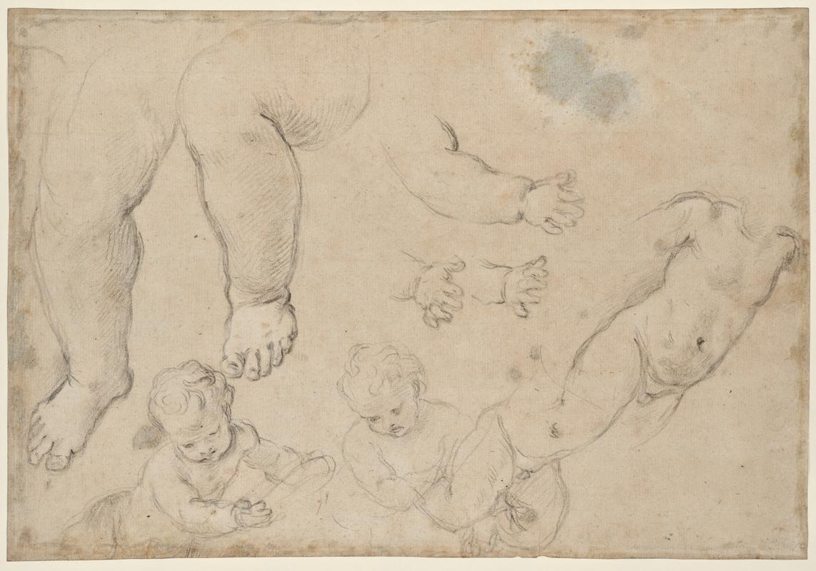 Studies of Putti