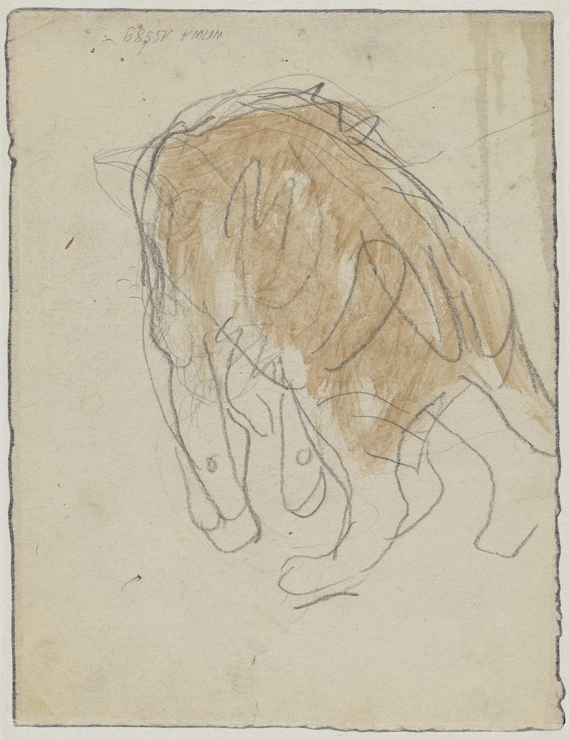 Seated ginger cat
