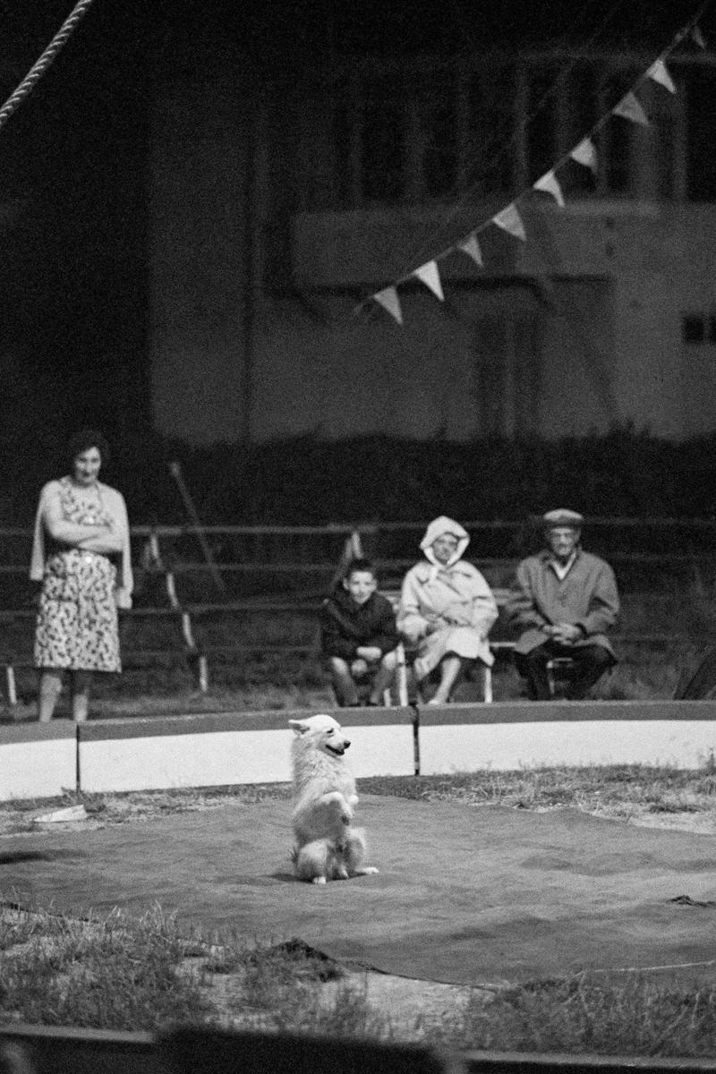 FRANCE. Antibes. Travelling circus with local audience. 1964.