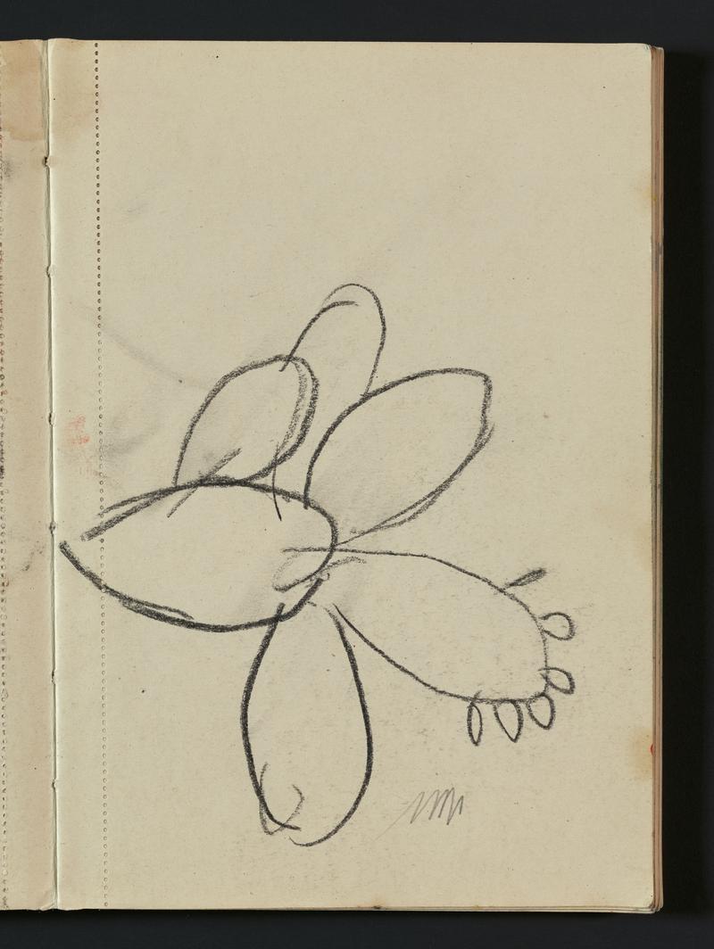 Sketchbook
