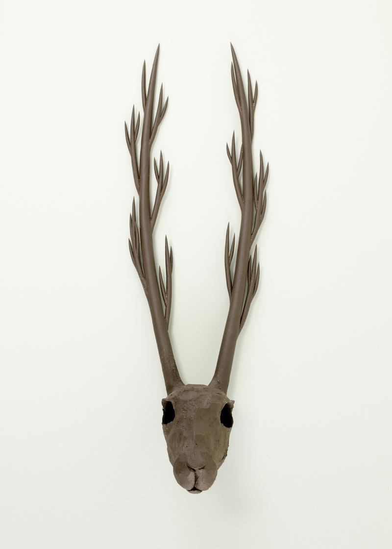 Head with thorns