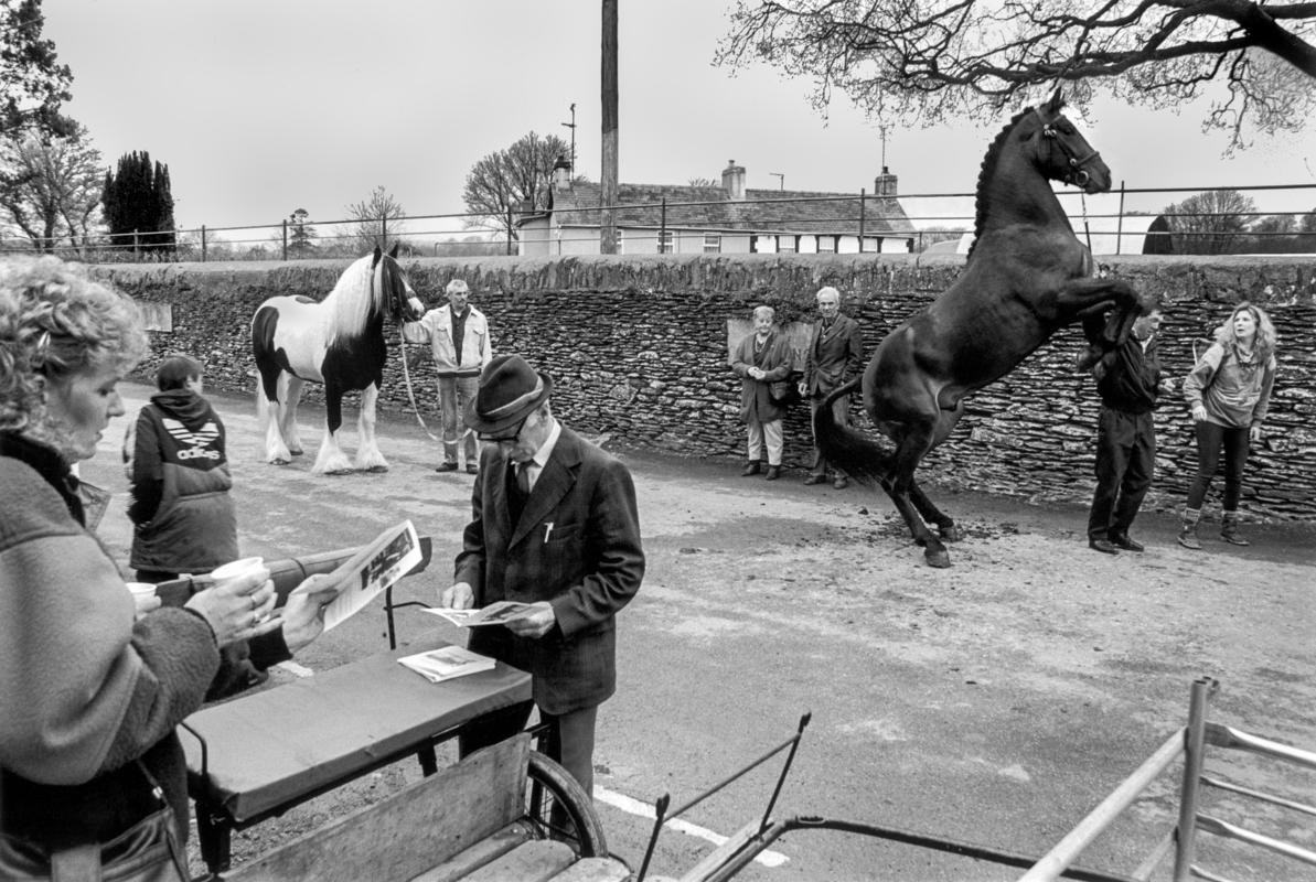 GB. WALES. Llanybyther horse fair on the last Thursday in each month is still one of the biggest in the country. 1994.