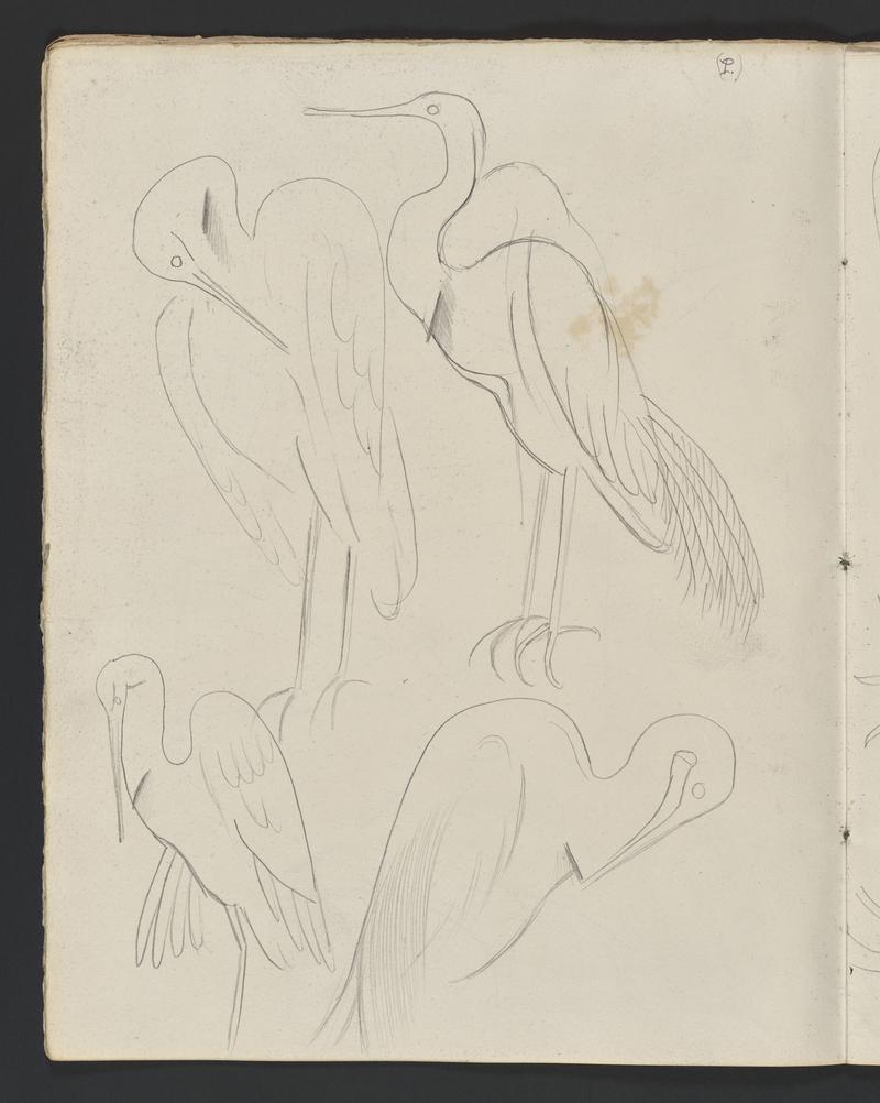 Sketchbook: Zoo Animals