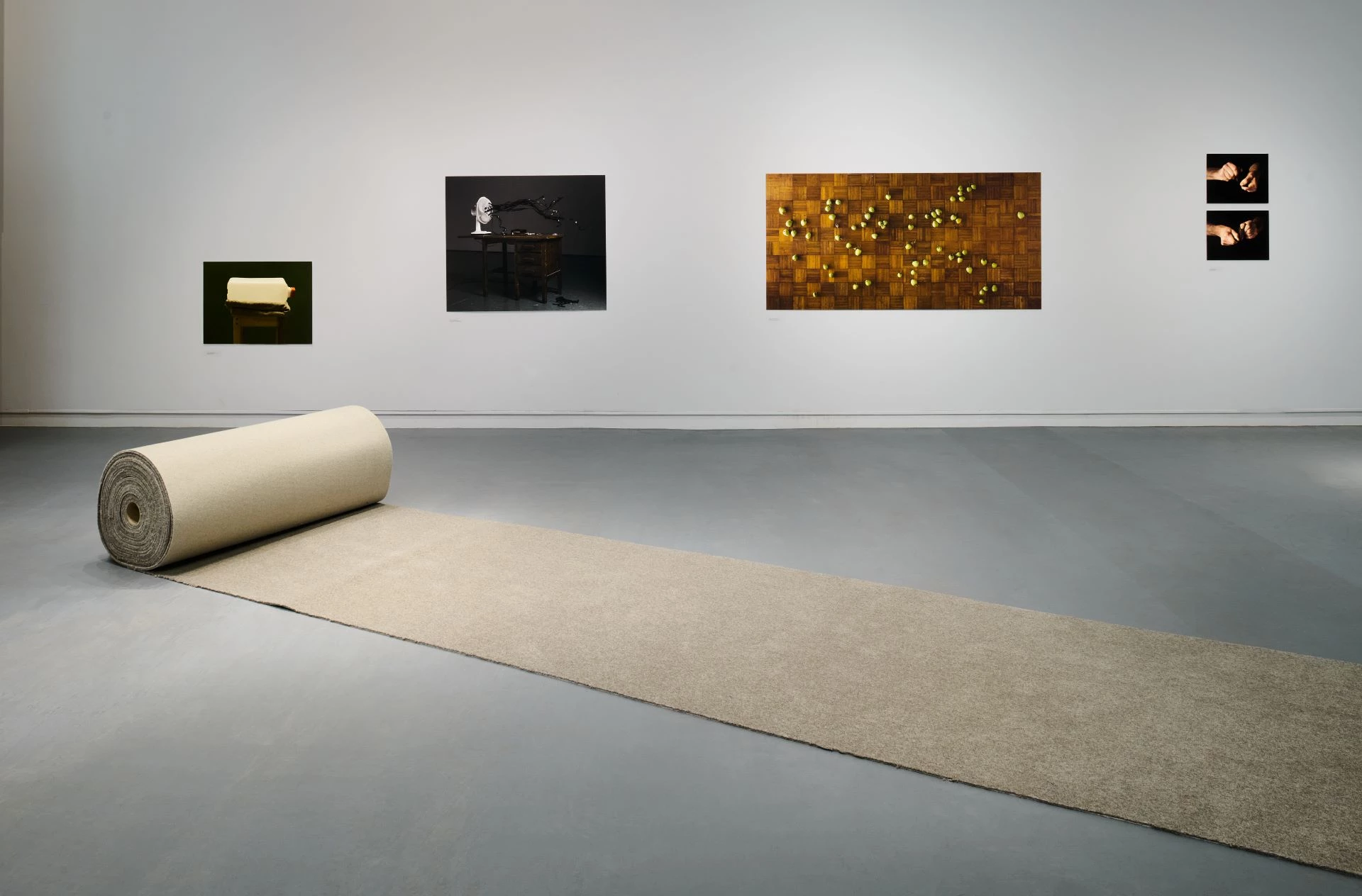 Anthony Shapland - Ganolfan Gelfyddydau Aberystwyth